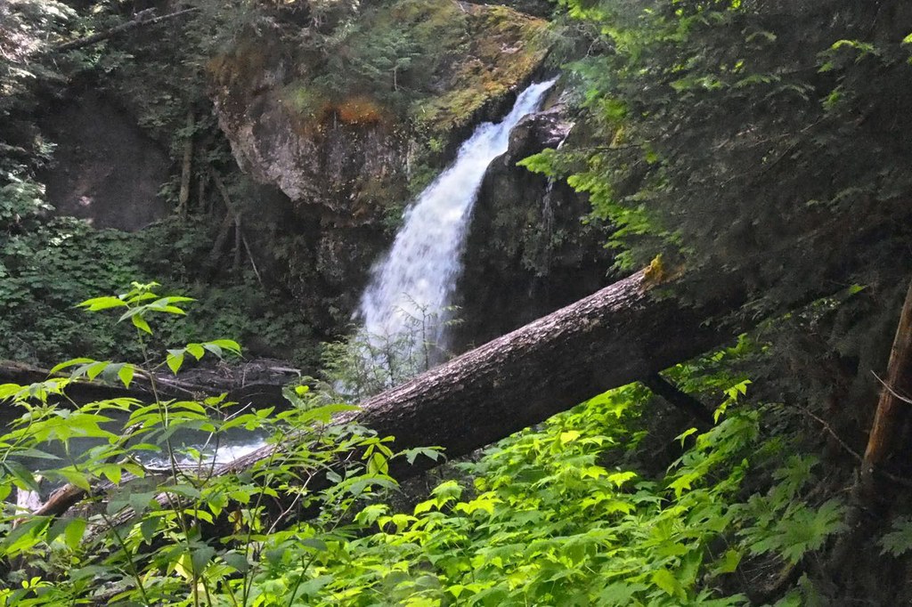 Iron Creek Falls — Washington Trails Association